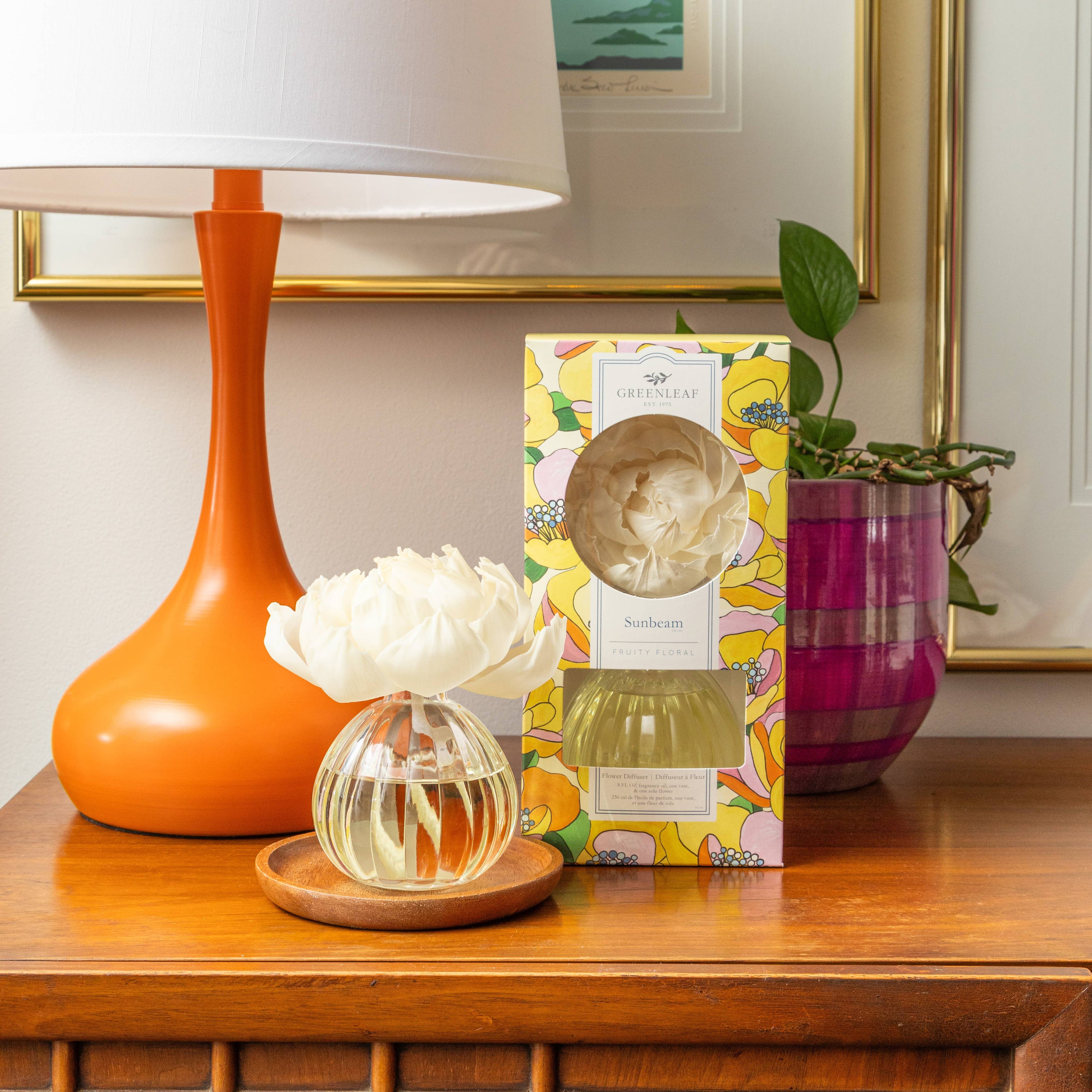 Sunbeam Flower Diffuser 4 Pack
