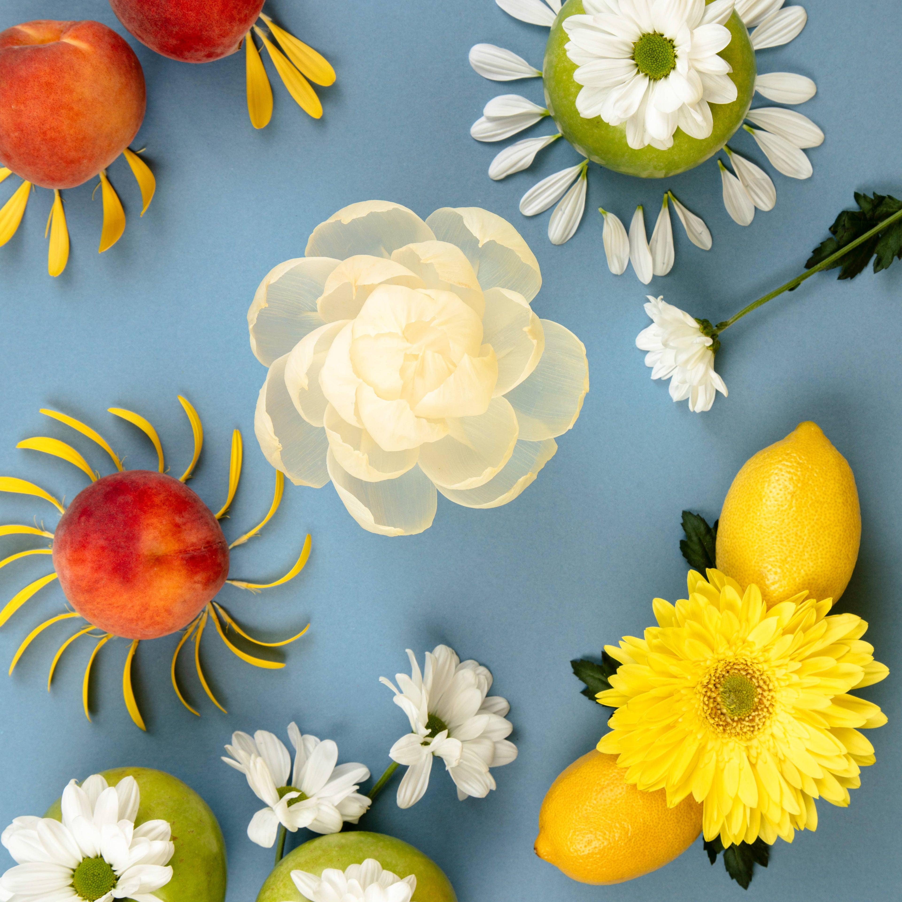 Sunbeam Flower Diffuser 4 Pack