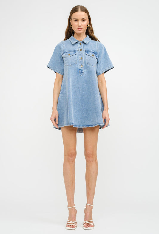 Pamela denim dress