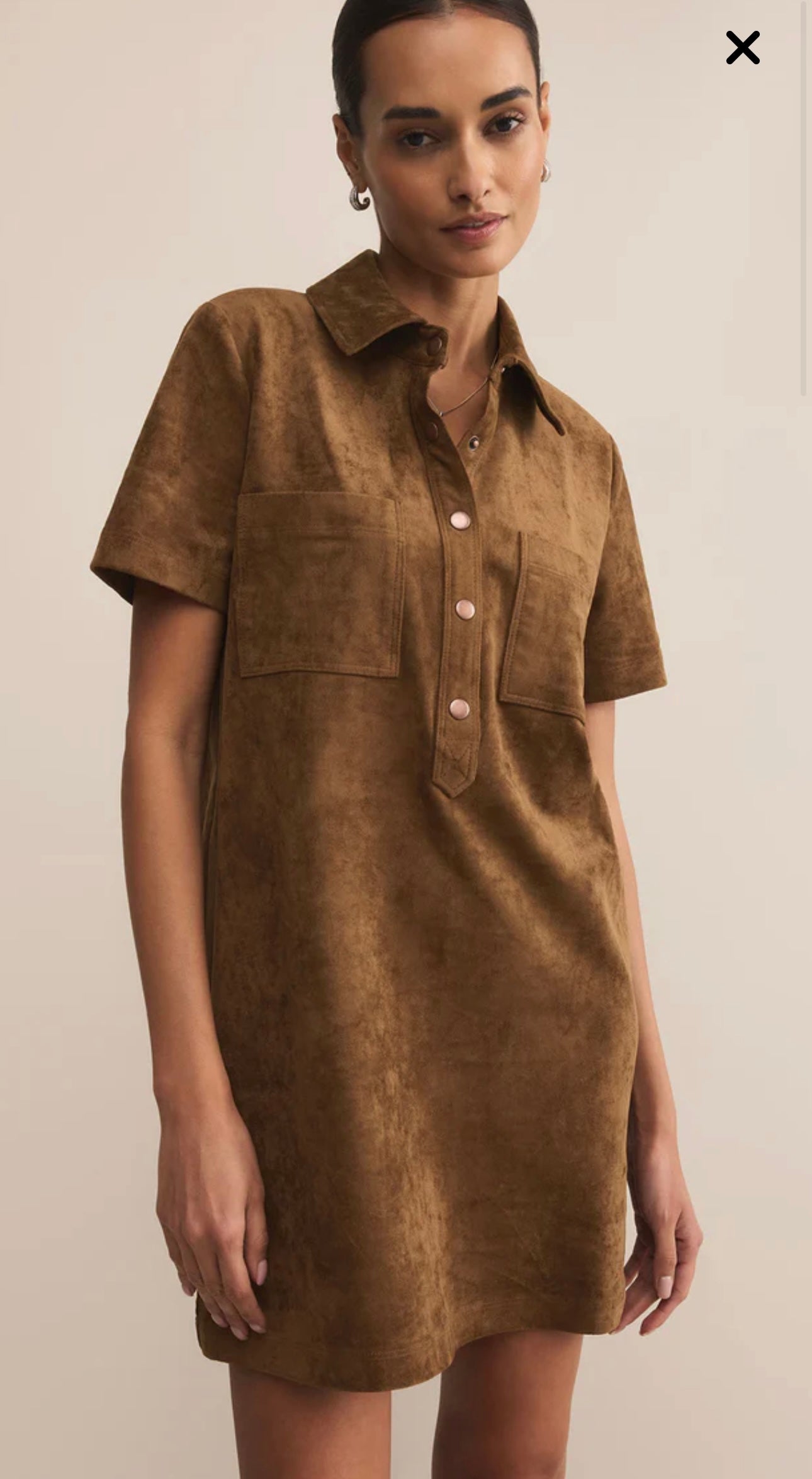 SYDNEY SUEDE MINI DRESS